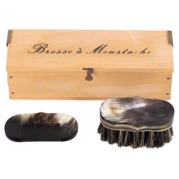 box with comb and brush by carl auboeck austria 1960s 1