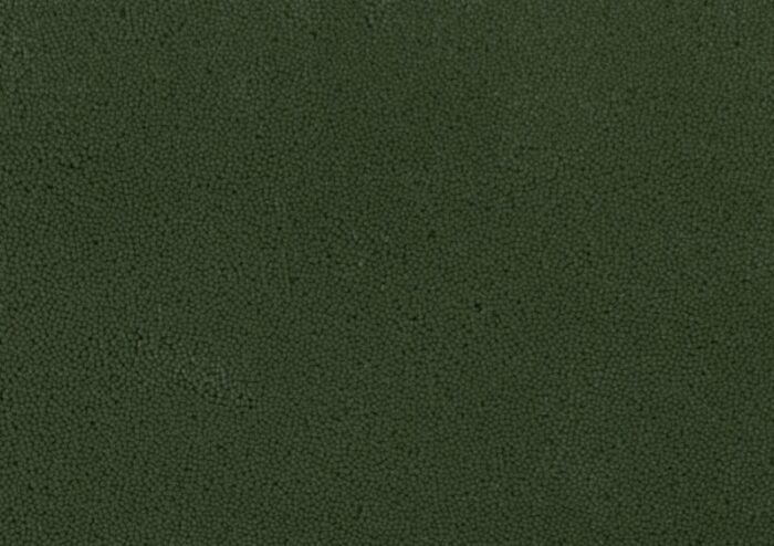 dark green circle plain rug from marqqa 2