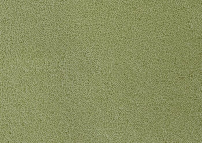 light green oval plain rug from marqqa 2