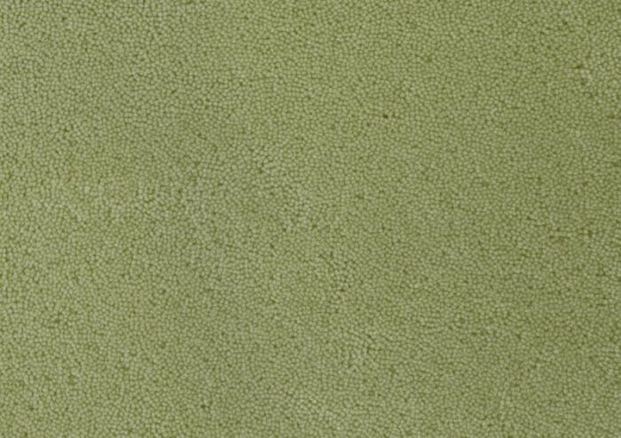 light green rectangle plain rug from marqqa 2