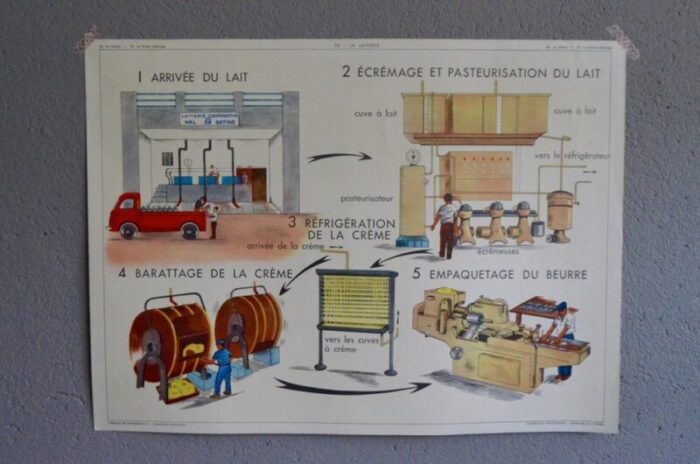 school poster depicting dairy from editions rossignol 1