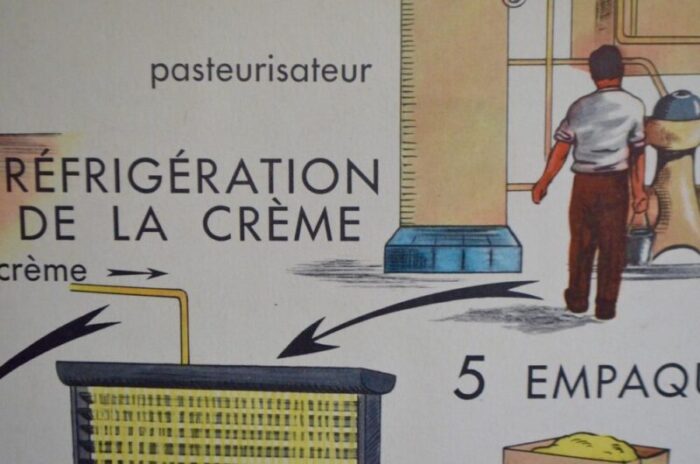 school poster depicting dairy from editions rossignol 5